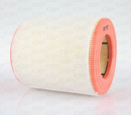 Air Filter (EAF3619.20)