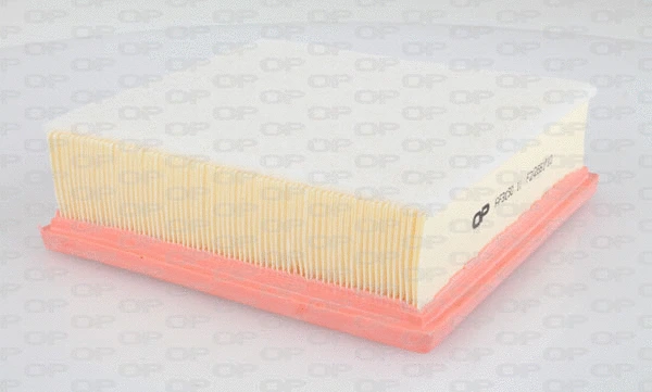 Air Filter (EAF3060.10)
