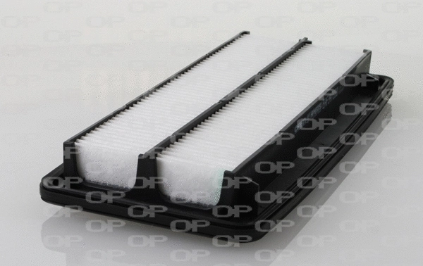 Air Filter (EAF3473.10)