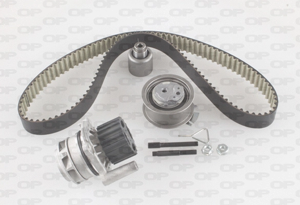 Water Pump & Timing Belt Kit (WTBK5000.00)