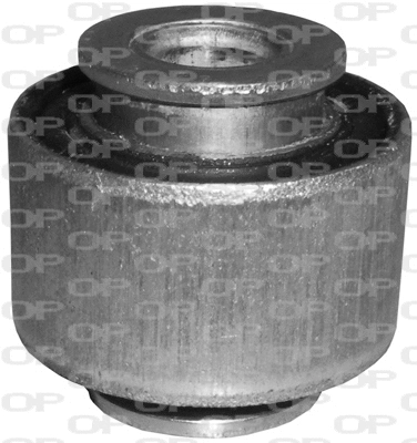Mounting, control/trailing arm (SSS1055.11)