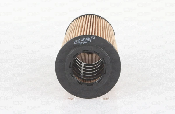 Oil Filter (EOF4046.10)