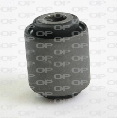 Mounting, control/trailing arm (SSS1104.11)