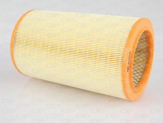 Air Filter (EAF3012.20)