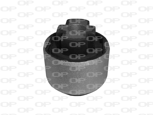 Mounting, control/trailing arm (SSS1116.11)
