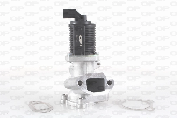 EGR Valve (EGR3010.00)