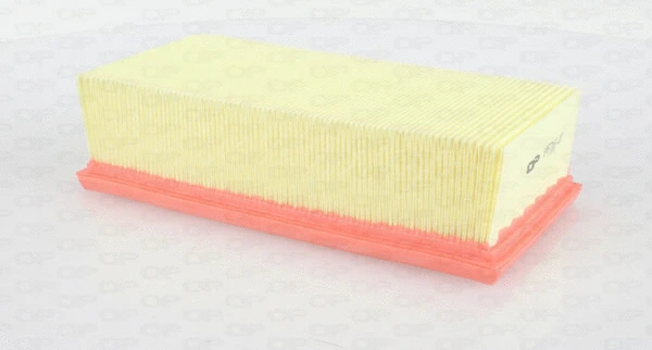 Air Filter (EAF3617.10)