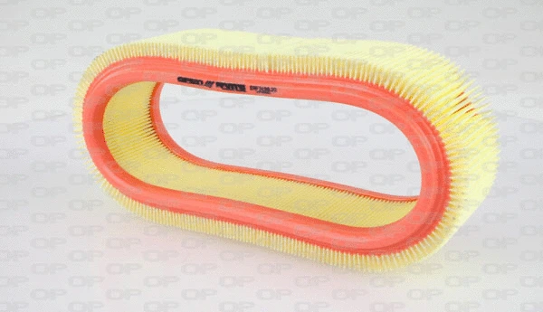 Air Filter (EAF3138.20)