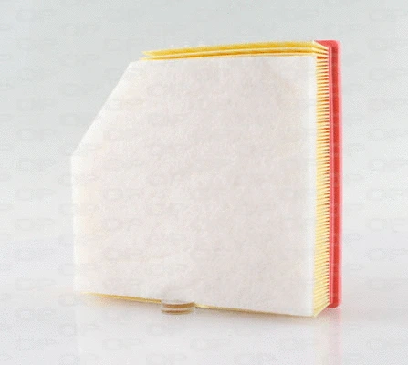 Air Filter (EAF3677.10)