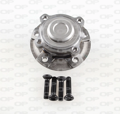 Wheel Bearing Kit (HBK5196.03)