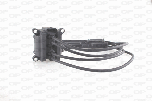Ignition Coil (IGN1022.00)