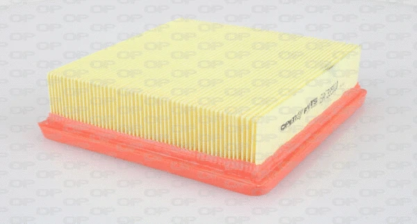 Air Filter (EAF3358.10)