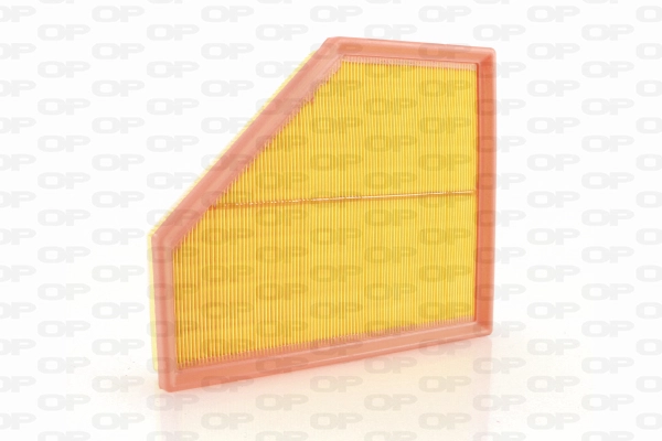 Air Filter (EAF3743.10)