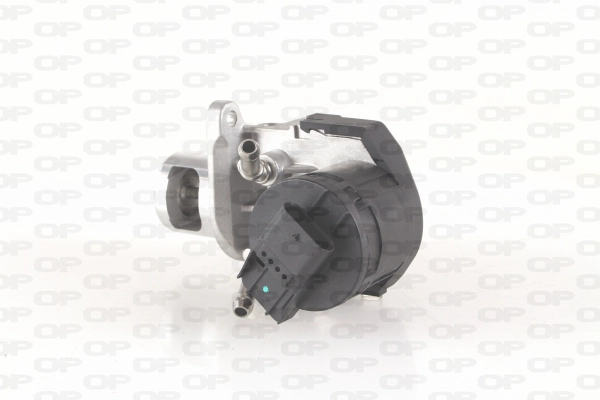 EGR Valve (EGR3008.00)
