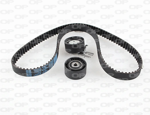 Timing Belt Kit (TBK5013.11)