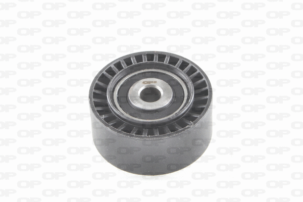 Deflection/Guide Pulley, V-ribbed belt (ACT2109.00)