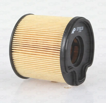 Fuel Filter (EFF5012.10)