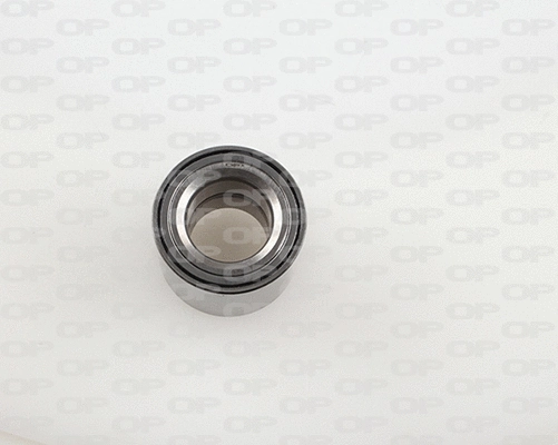 Wheel Bearing Kit (HBK5060.01)