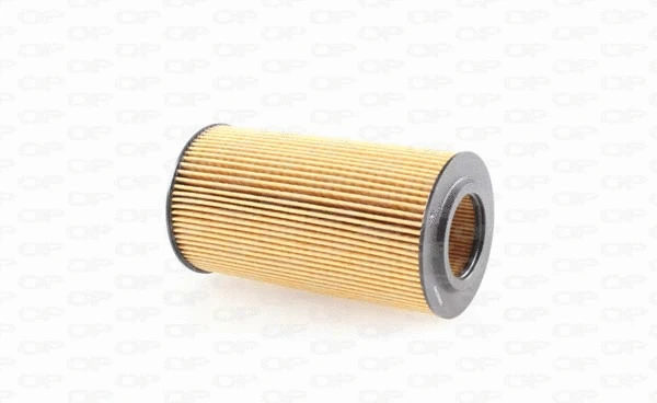 Oil Filter (EOF4244.10)