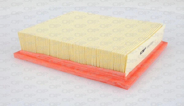 Air Filter (EAF3131.10)