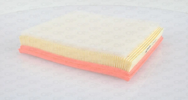 Air Filter (EAF3527.10)