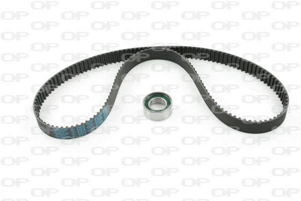 Timing Belt Kit (TBK5016.01)