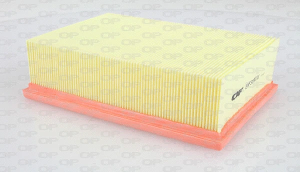 Air Filter (EAF3100.10)