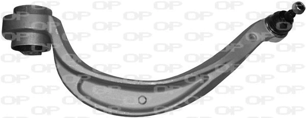 Control/Trailing Arm, wheel suspension (SSW1124.01)