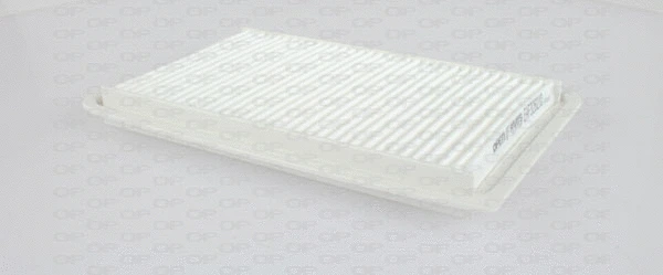 Air Filter (EAF3262.10)