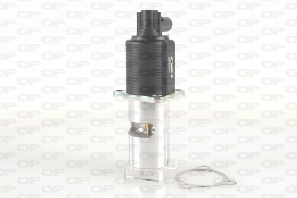 EGR Valve (EGR3024.00)