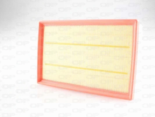 Air Filter (EAF3702.10)