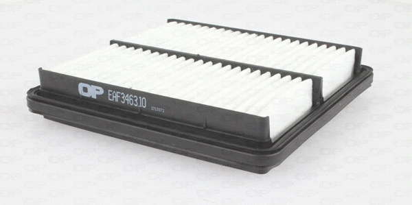 Air Filter (EAF3463.10)