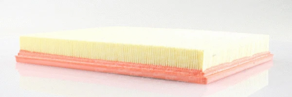 Air Filter (EAF3147.10)
