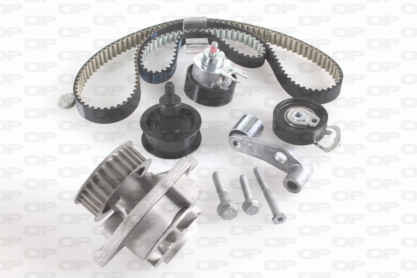 Water Pump & Timing Belt Kit (WTBK5031.00)