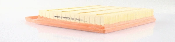 Air Filter (EAF3446.10)