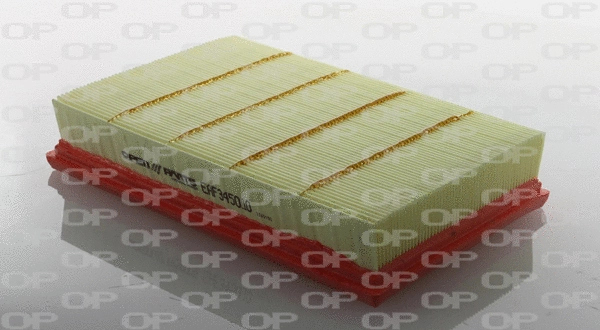 Air Filter (EAF3450.10)