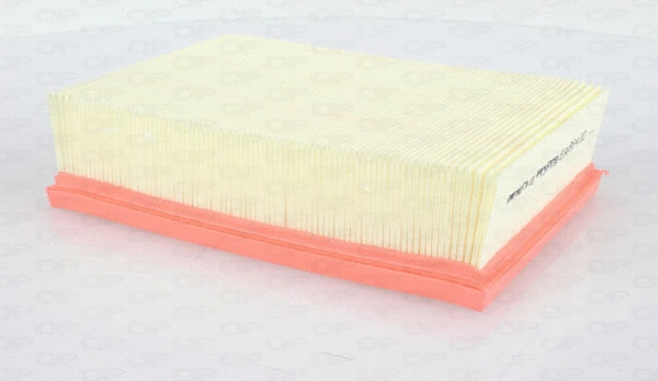 Air Filter (EAF3641.10)