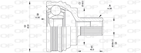 Joint Kit, drive shaft (CVJ5538.10)