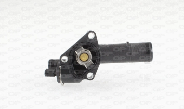 Thermostat, coolant (TRM1061.00)