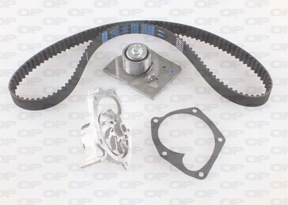 Water Pump & Timing Belt Kit (WTBK5008.00)