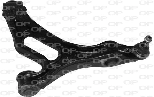 Control/Trailing Arm, wheel suspension (SSW1175.01)