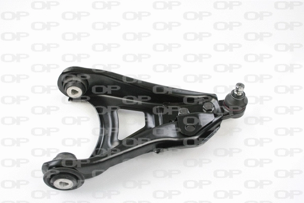Control/Trailing Arm, wheel suspension (SSW1048.01)