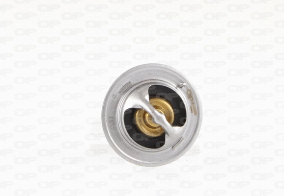 Thermostat, coolant (TRM1023.00)