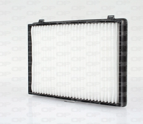 Filter, cabin air (CAF2204.01)
