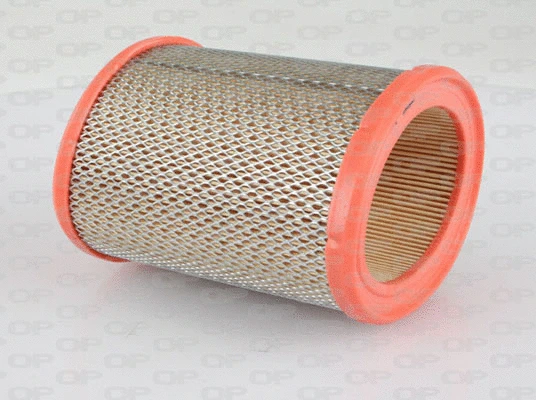 Air Filter (EAF3080.20)