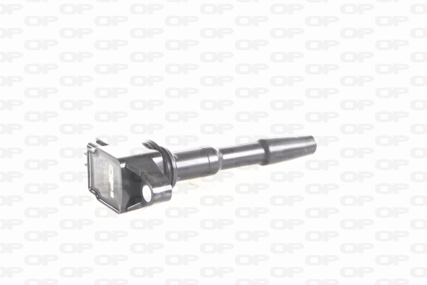 Ignition Coil (IGN1031.00)