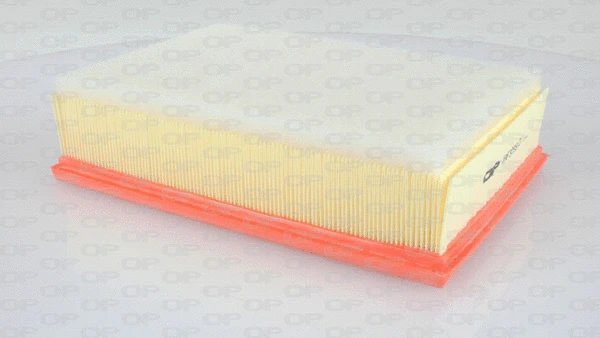 Air Filter (EAF3299.10)