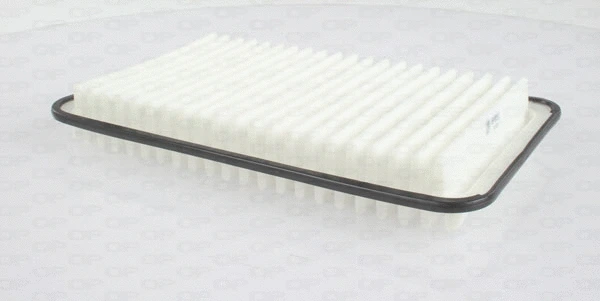 Air Filter (EAF3521.10)