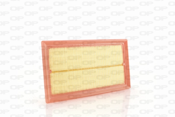 Air Filter (EAF3742.10)