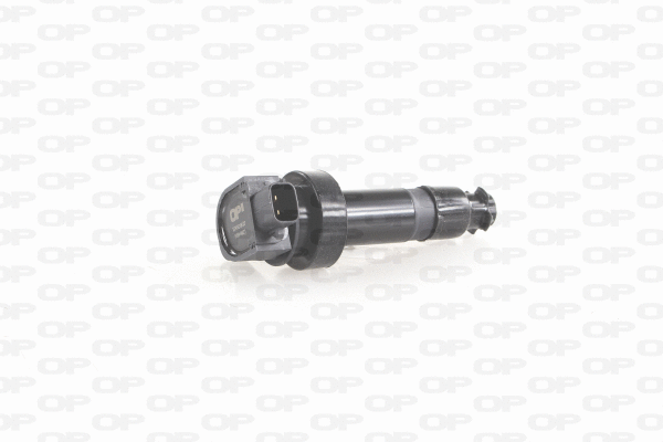 Ignition Coil (IGN1018.00)